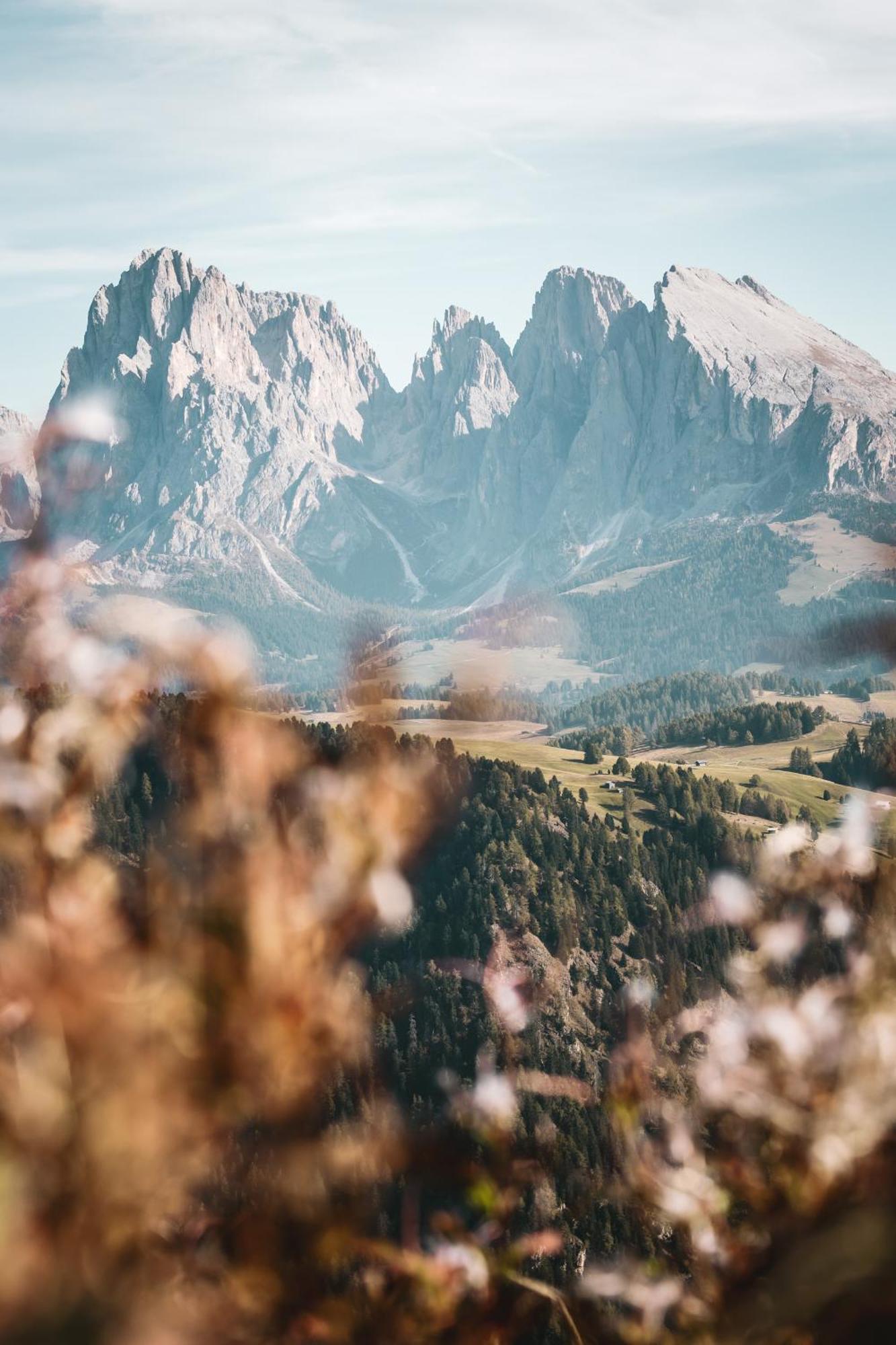 Dorfhotel Beludei Santa Cristina Val Gardena Екстериор снимка